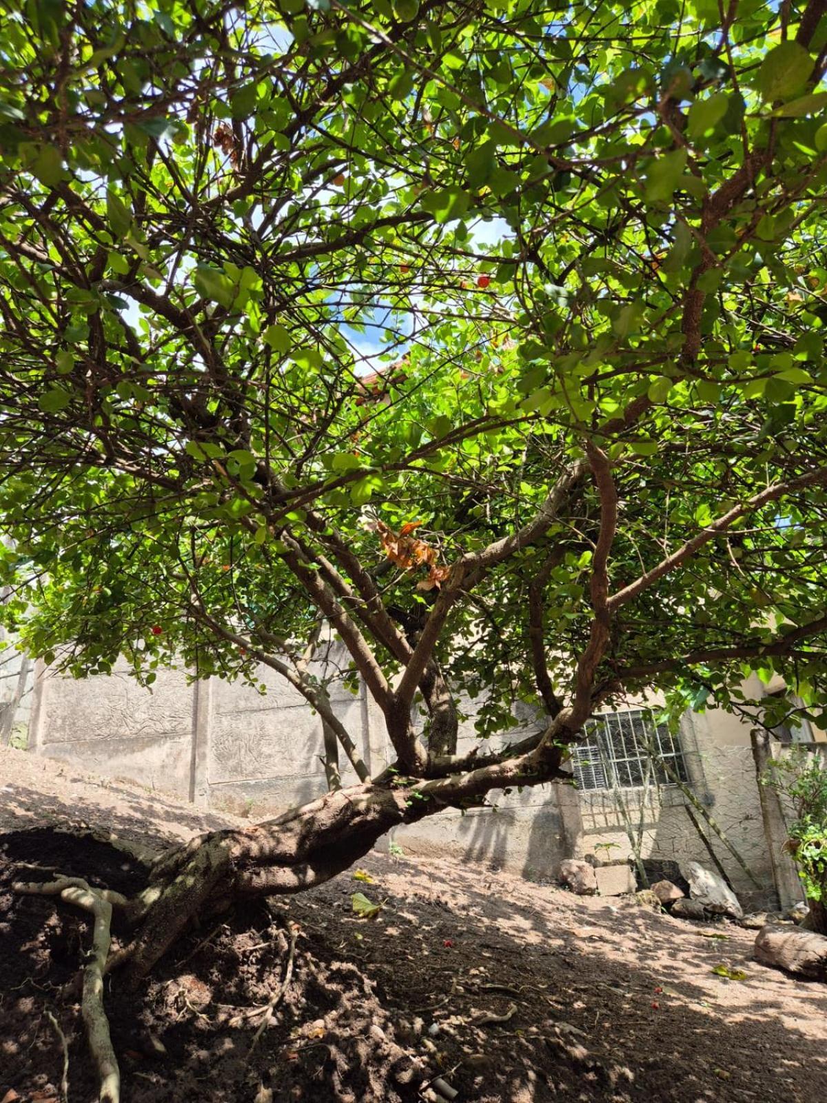 Pousada Verde Villas Brumadinho Exterior foto